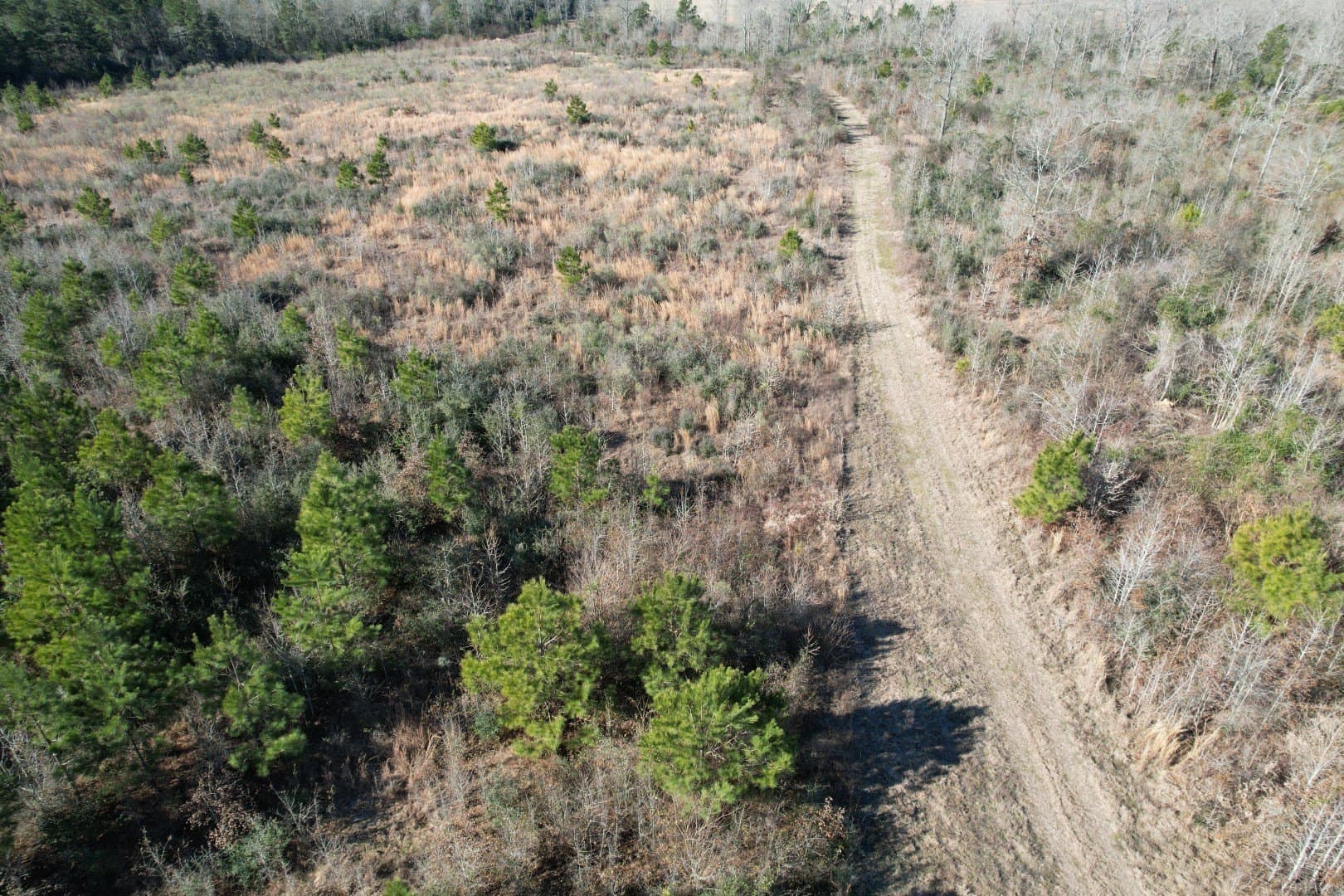 49 acres in Shelby County - photo 13