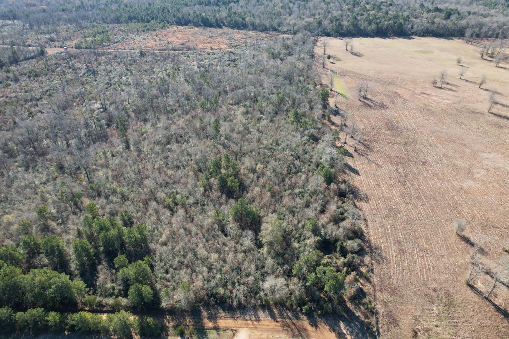 49 acres in Shelby County - photo 7