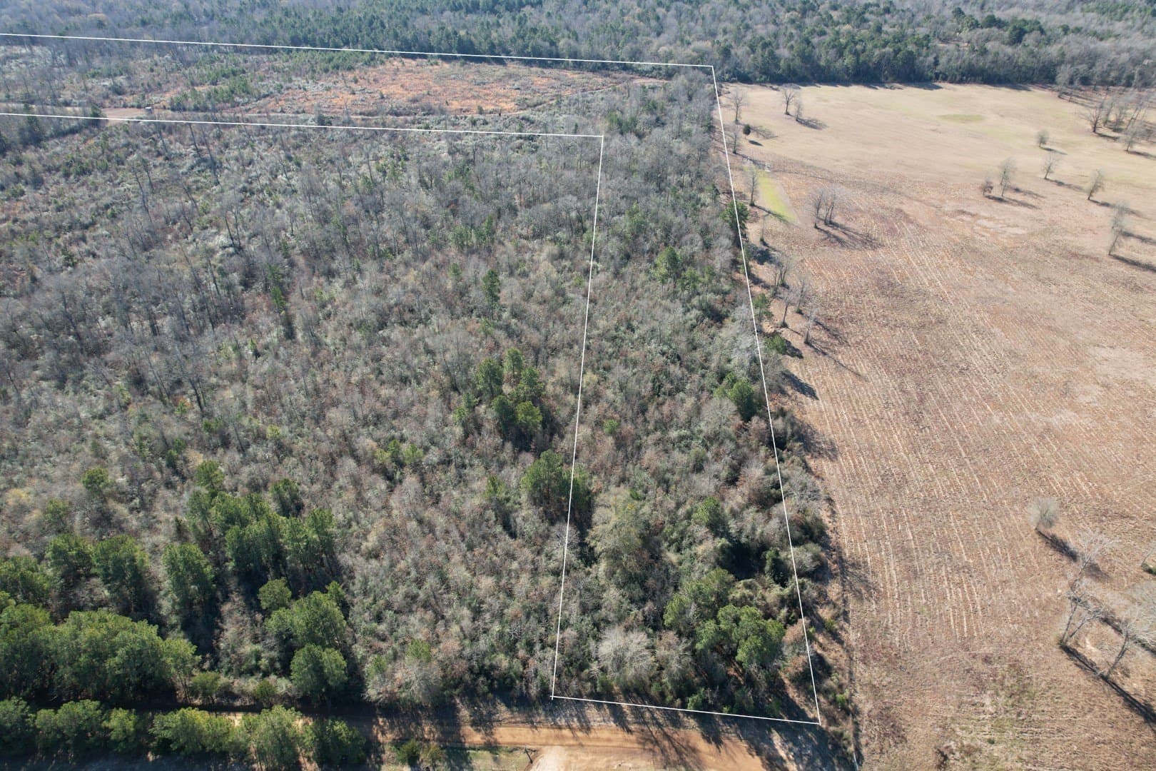 49 acres in Shelby County - photo 6