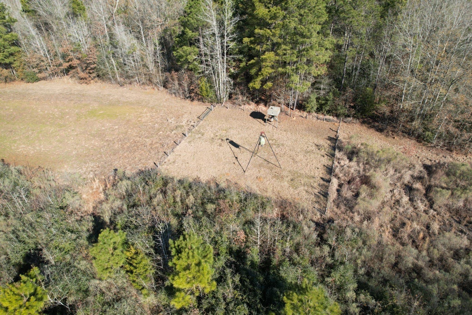 49 acres in Shelby County - photo 9