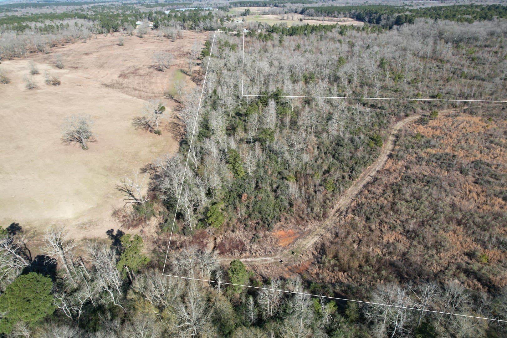 49 acres in Shelby County - photo 4