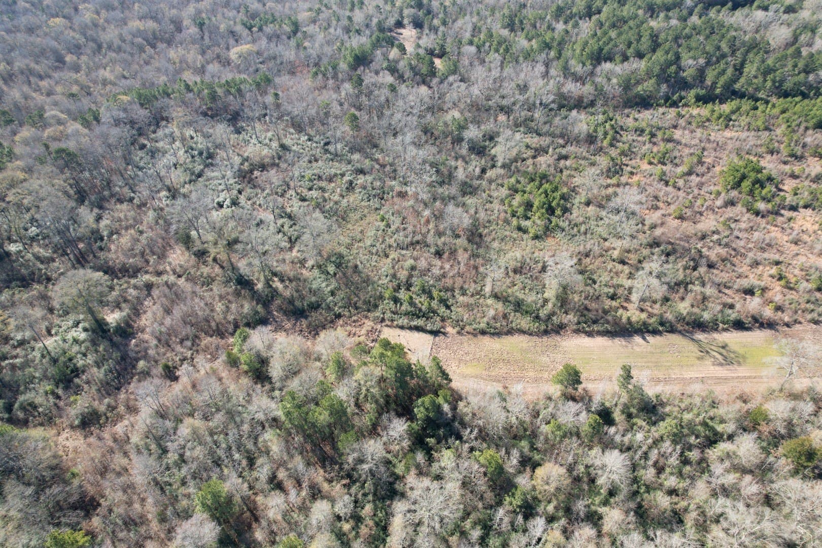 49 acres in Shelby County - photo 8