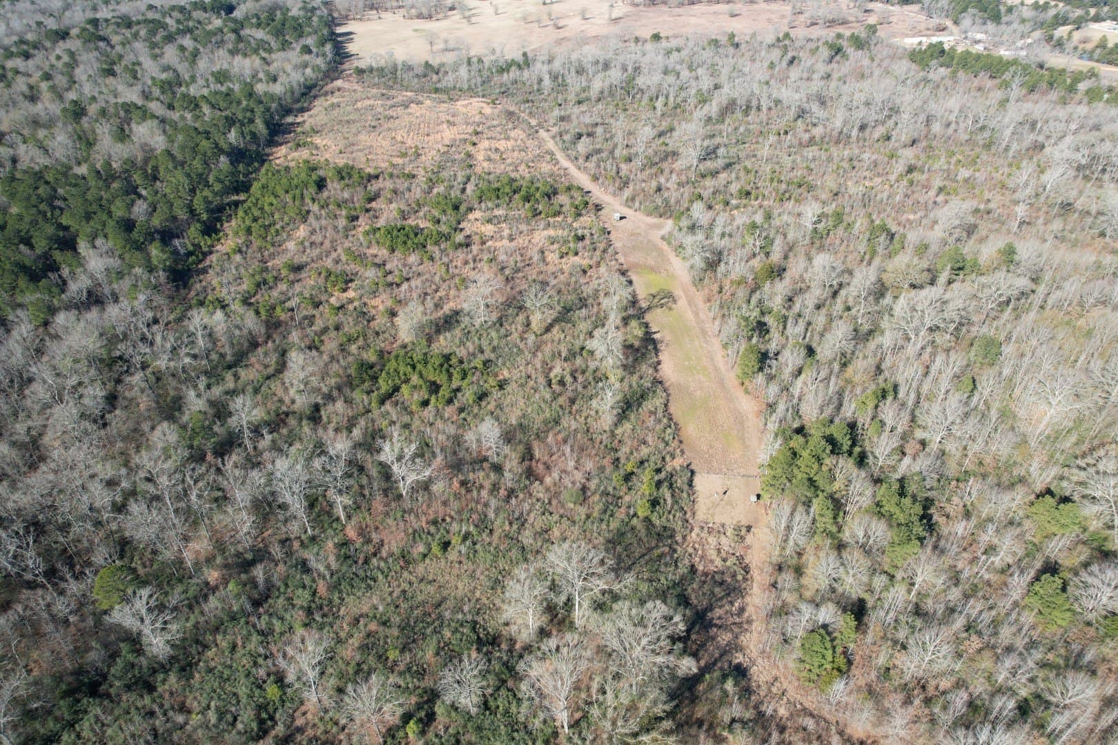 49 acres in Shelby County - photo 3