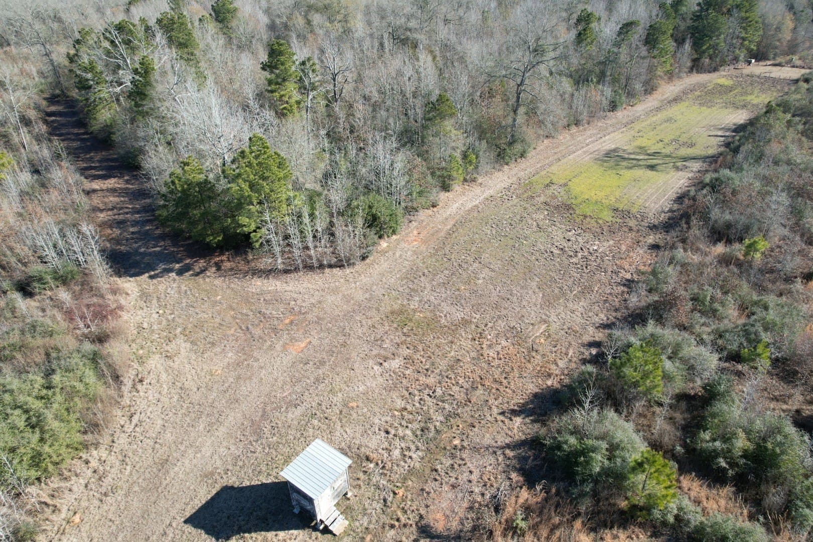 49 acres in Shelby County - photo 12