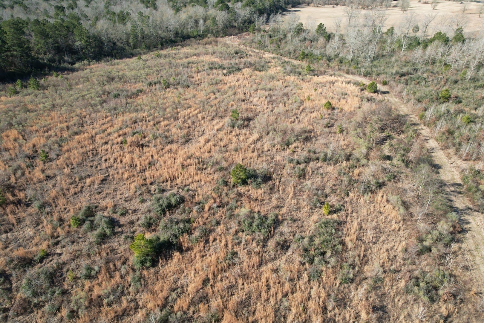 49 acres in Shelby County - photo 14
