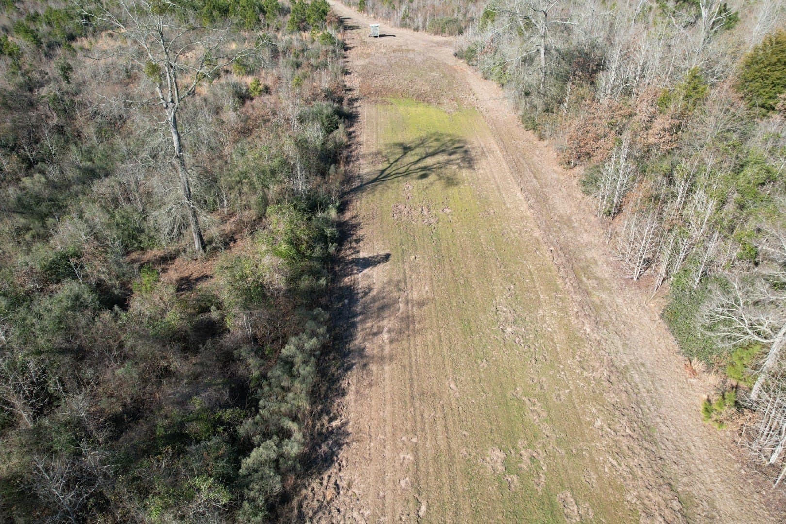 49 acres in Shelby County - photo 10