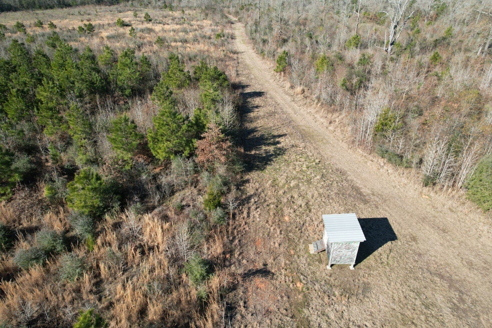 49 acres in Shelby County - photo 11