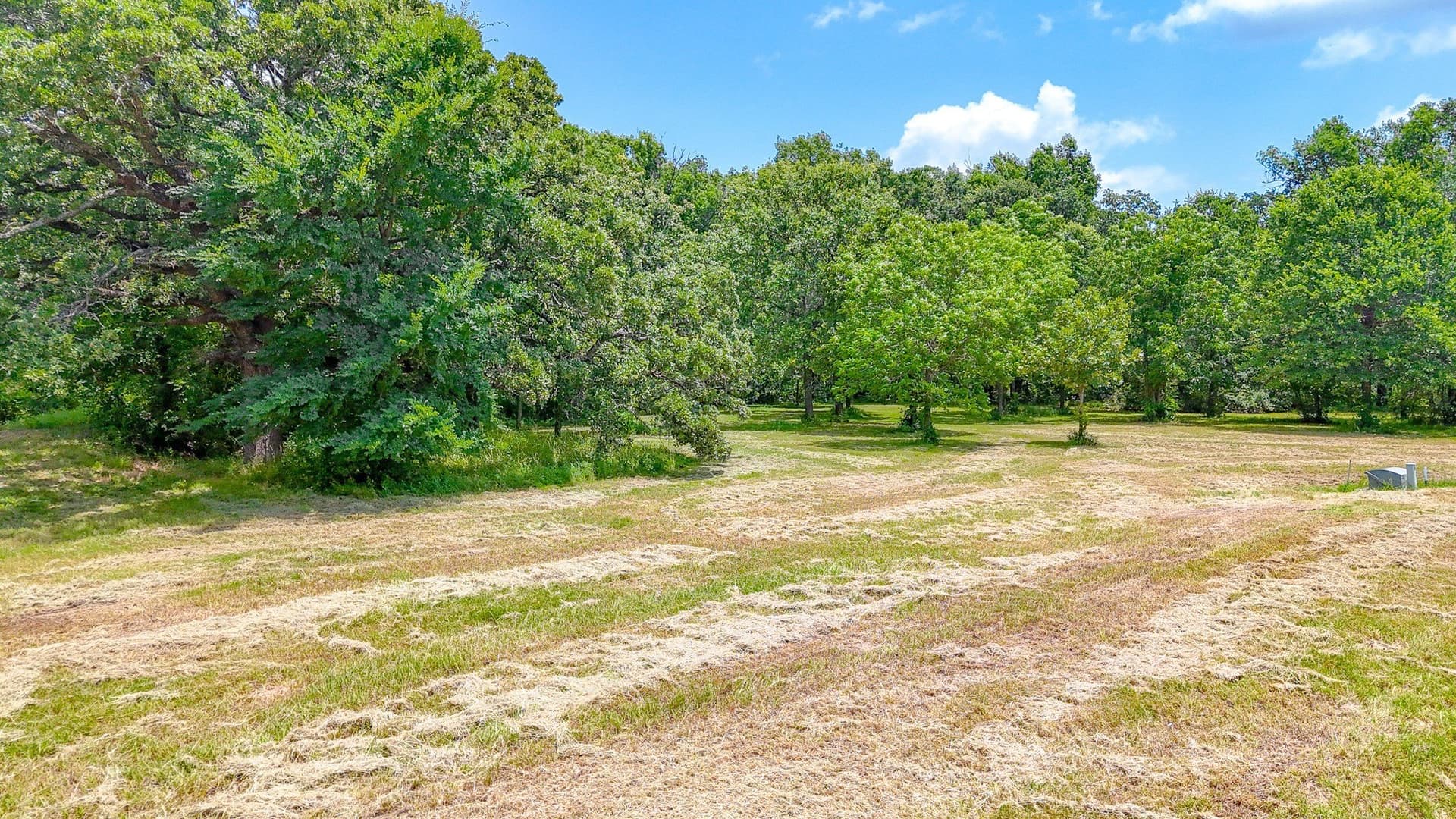 1 acres in Navarro County - photo 6