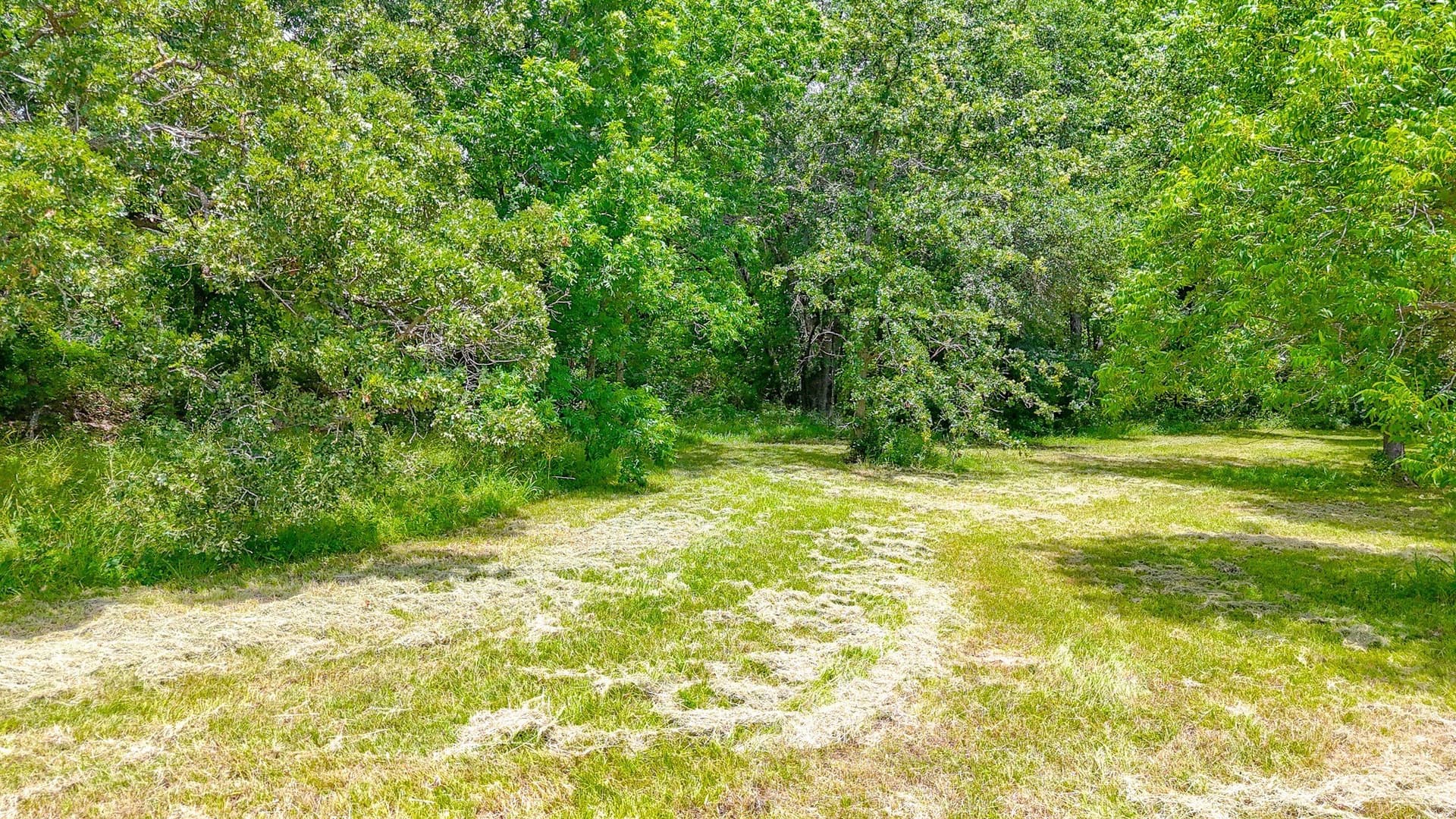1 acres in Navarro County - photo 2