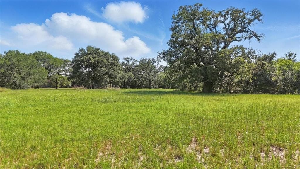 0.82 acres in Denton County gallery image 2