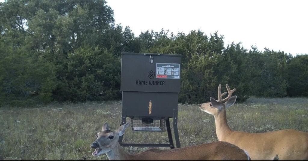 122.5 acres in Texas County - photo 35