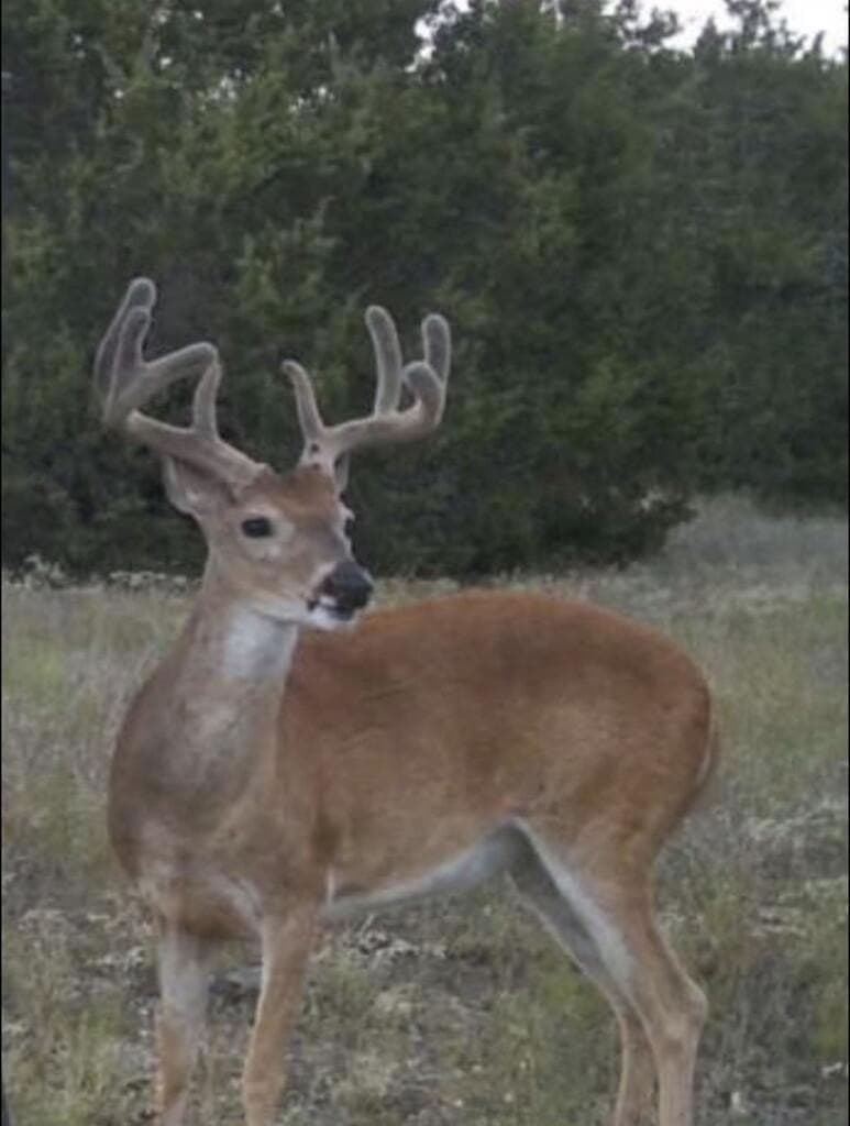 122.5 acres in Texas County - photo 31