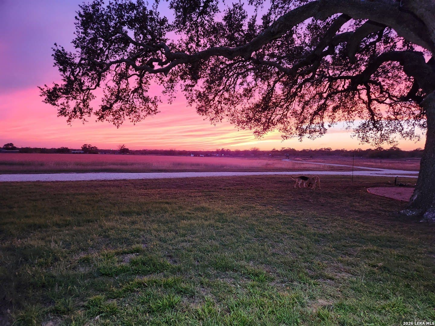 20.28 acres in Atascosa County - photo 25