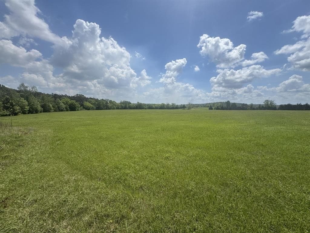 11.1 acres in Rusk County gallery image 2