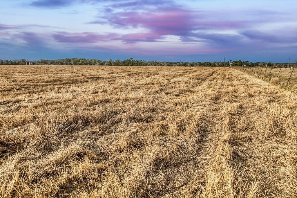 25 acres in Burleson County - photo 2