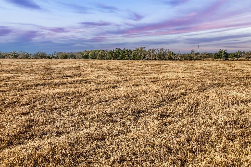 25 acres in Burleson County - photo 3
