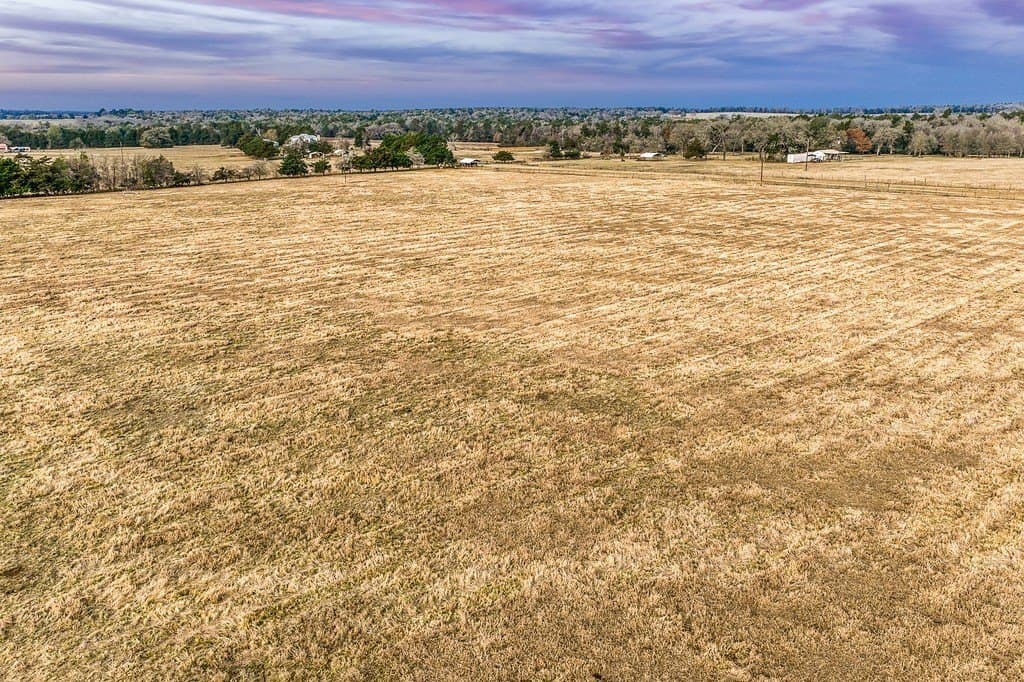 25 acres in Burleson County - photo 5