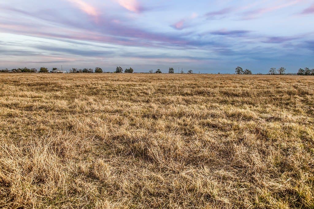 25 acres in Burleson County