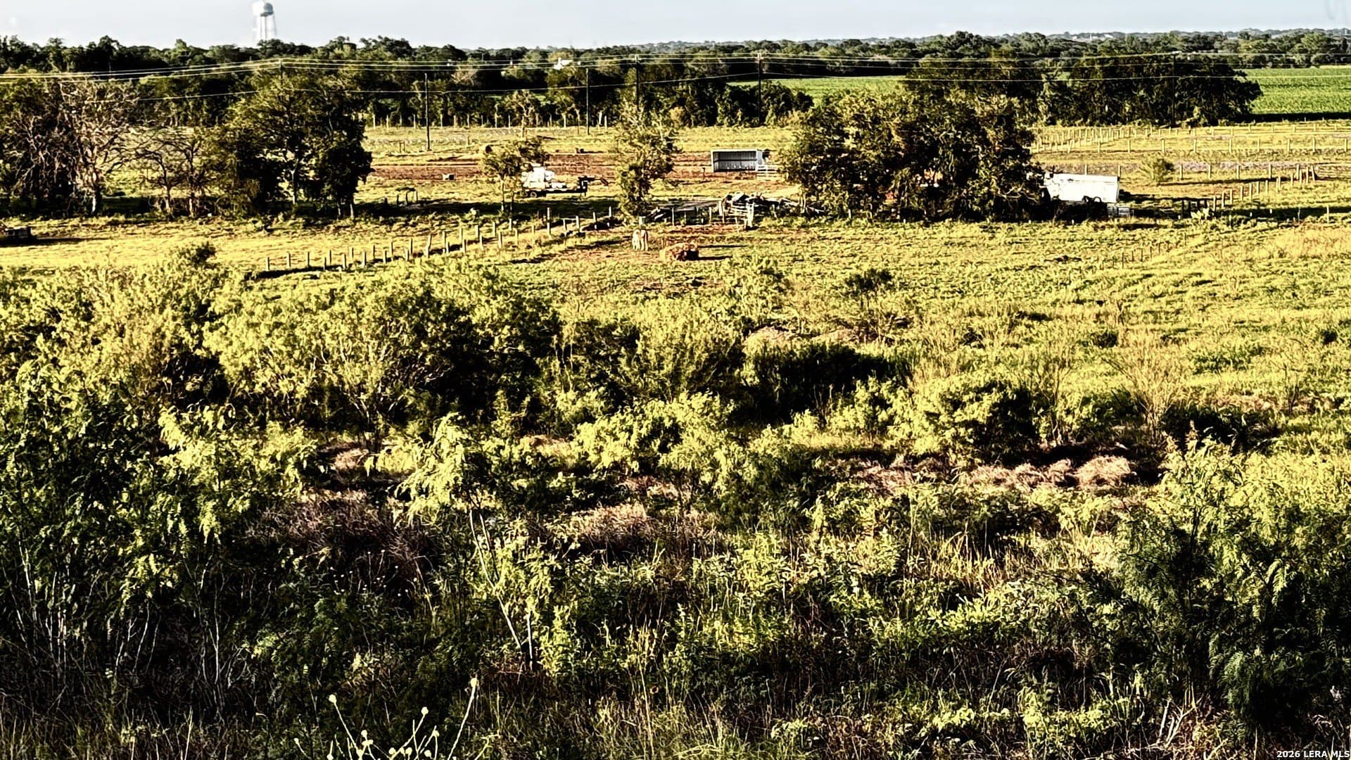 16.87 acres in Guadalupe County gallery image 2