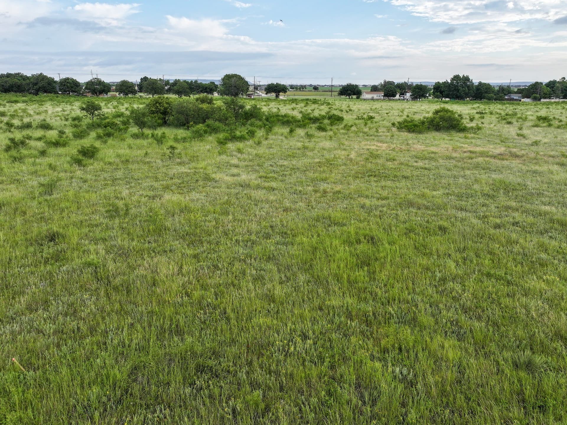 3.67 acres in Taylor County - photo 5