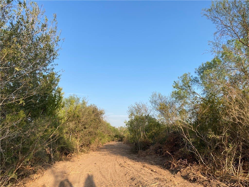 13.33 acres in Duval County - photo 10