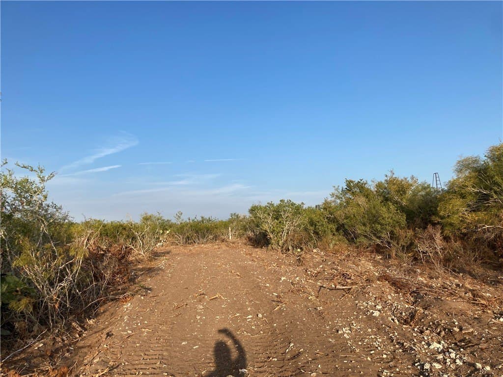 13.33 acres in Duval County - photo 6