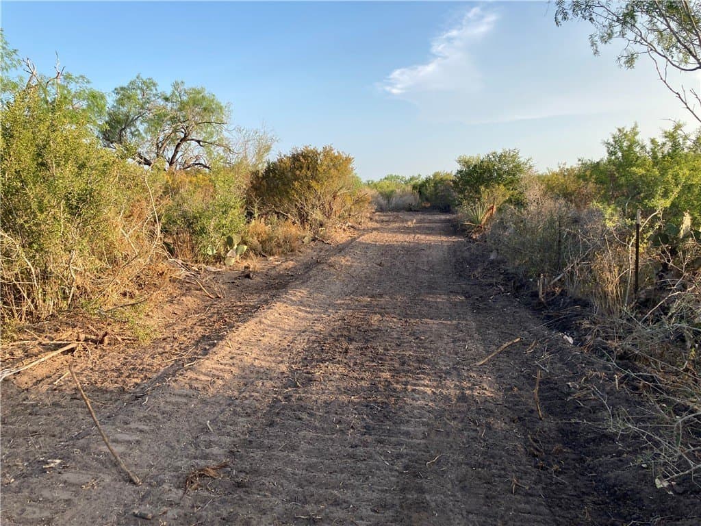 13.33 acres in Duval County - photo 8
