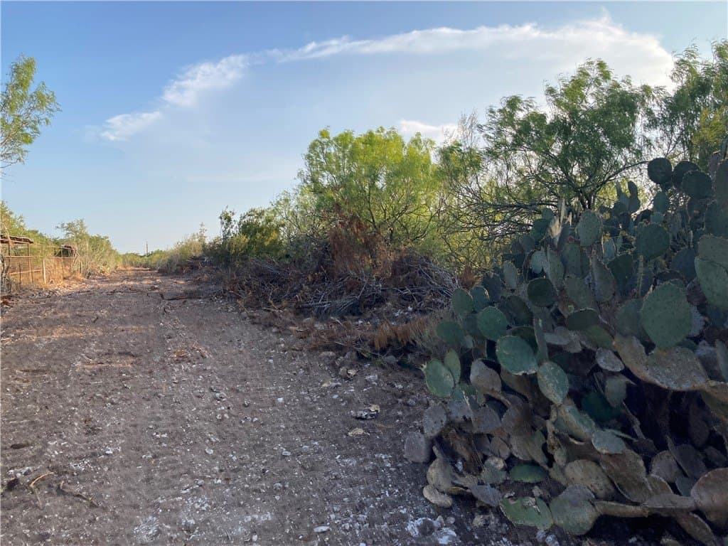 13.33 acres in Duval County - photo 4