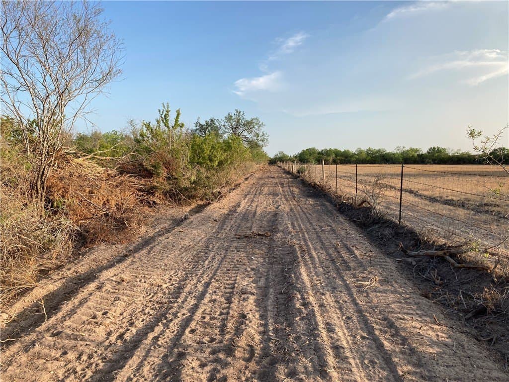 13.33 acres in Duval County - photo 9