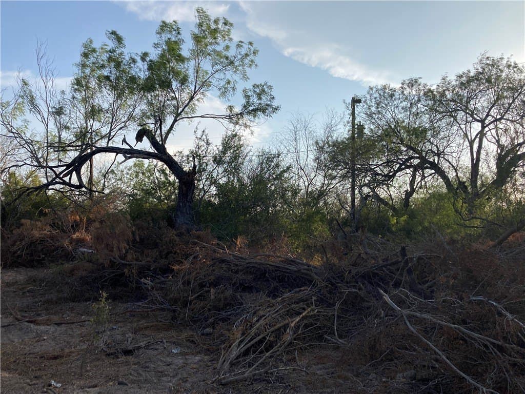 13.33 acres in Duval County - photo 3
