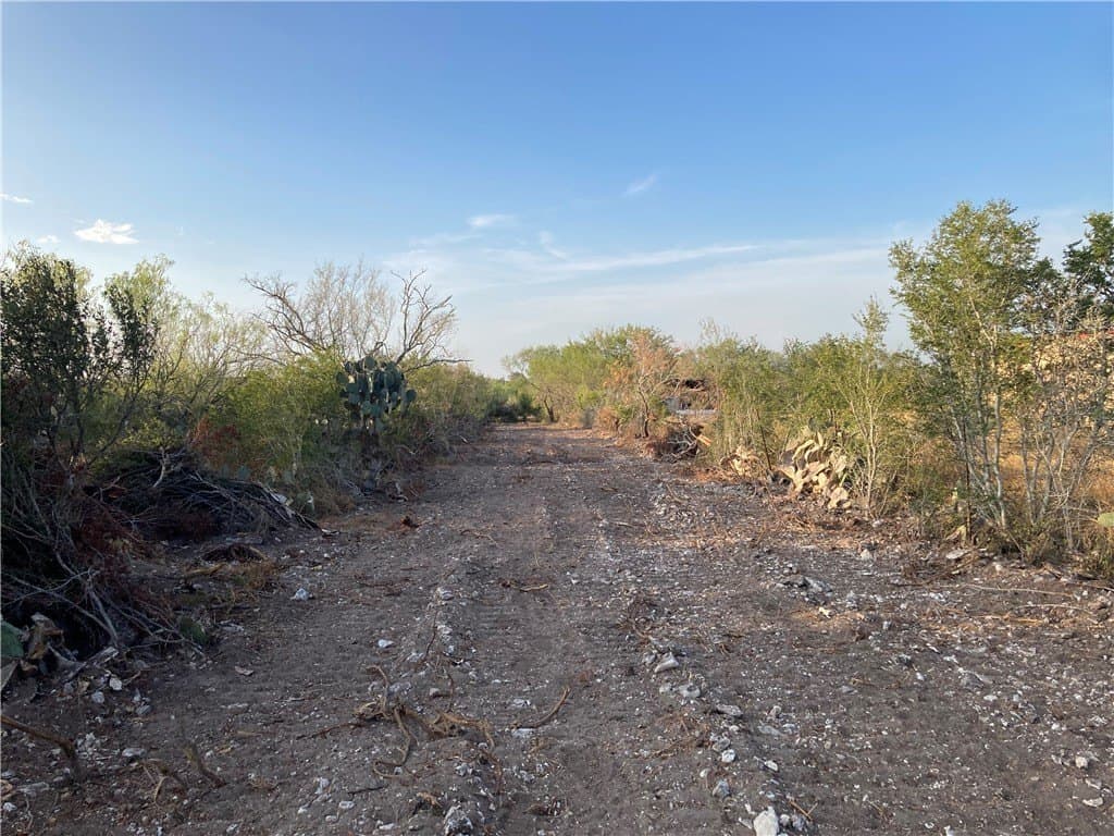 13.33 acres in Duval County - photo 5