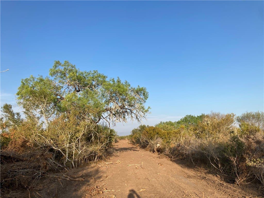 13.33 acres in Duval County - photo 7