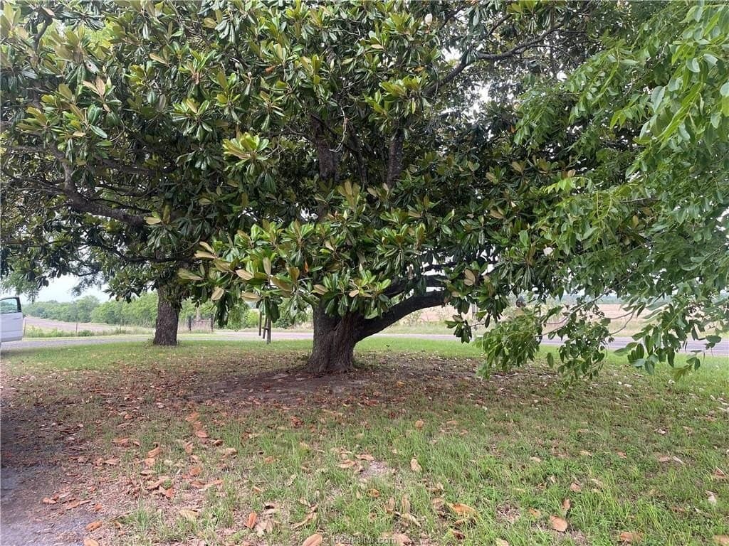 20 acres in Grimes County - photo 29
