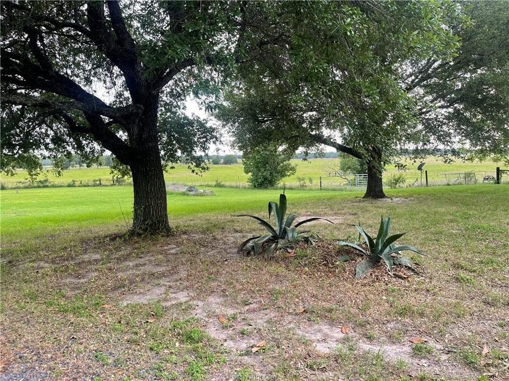 20 acres in Grimes County - photo 30