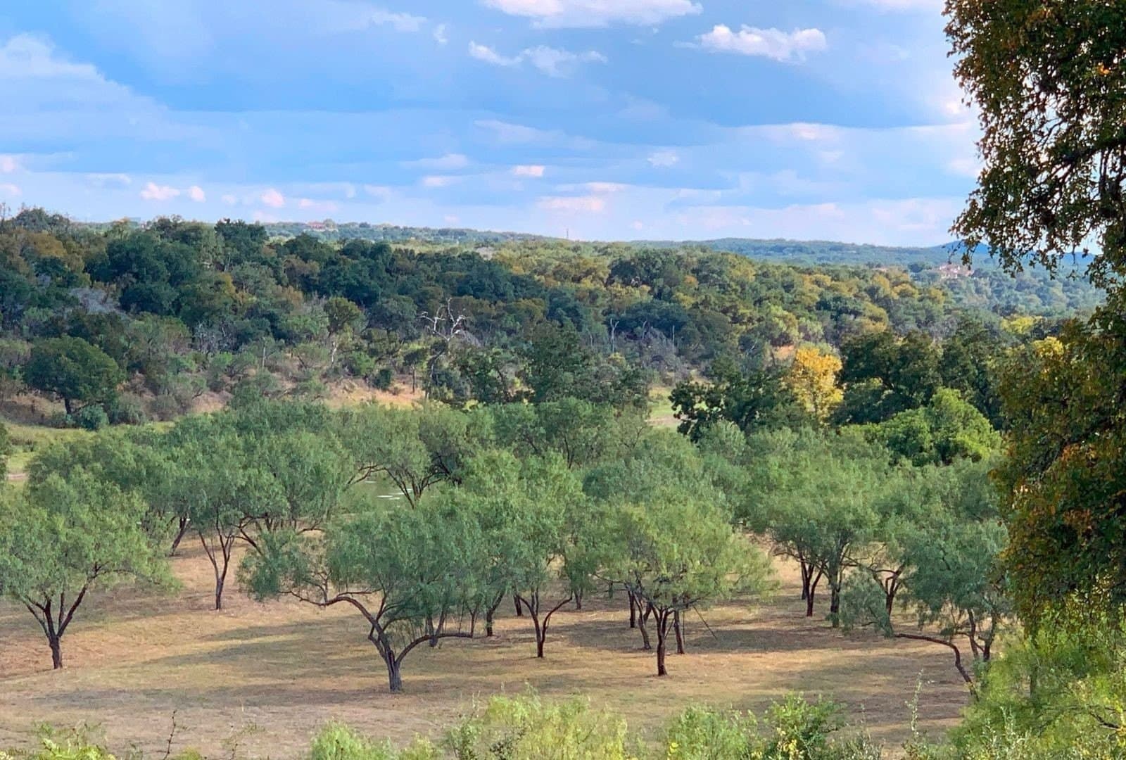 37 acres in Travis County - photo 32