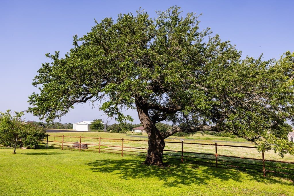 12.88 acres in Gillespie County - photo 34