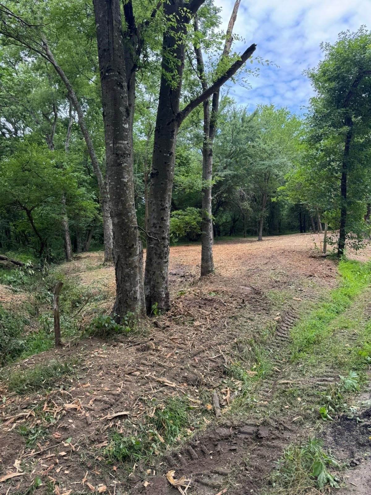 10.01 acres in Hopkins County featured view