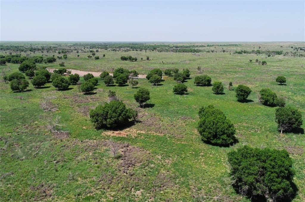 2,038 acres in Wichita County gallery image 4