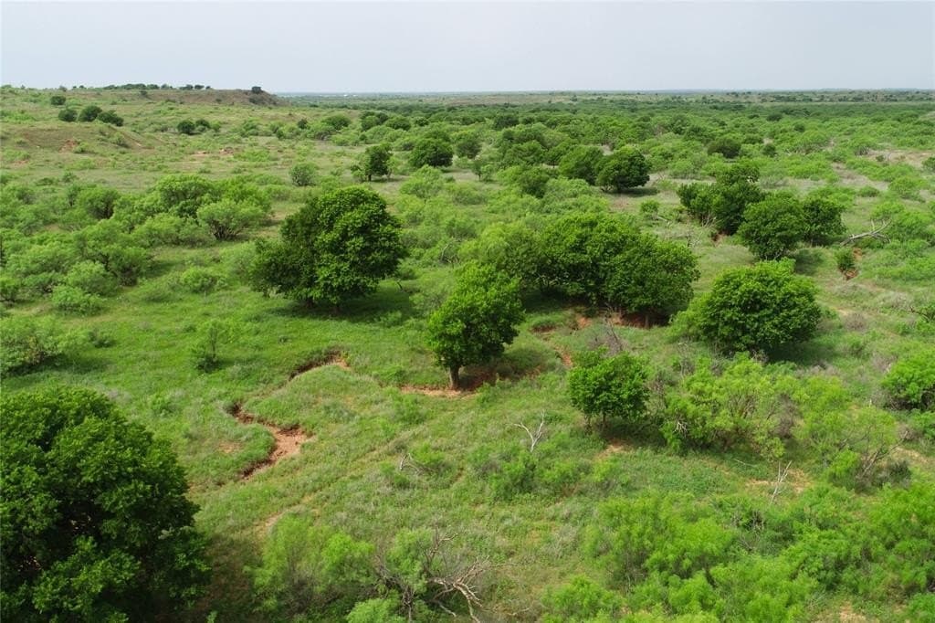 2,038 acres in Wichita County featured view
