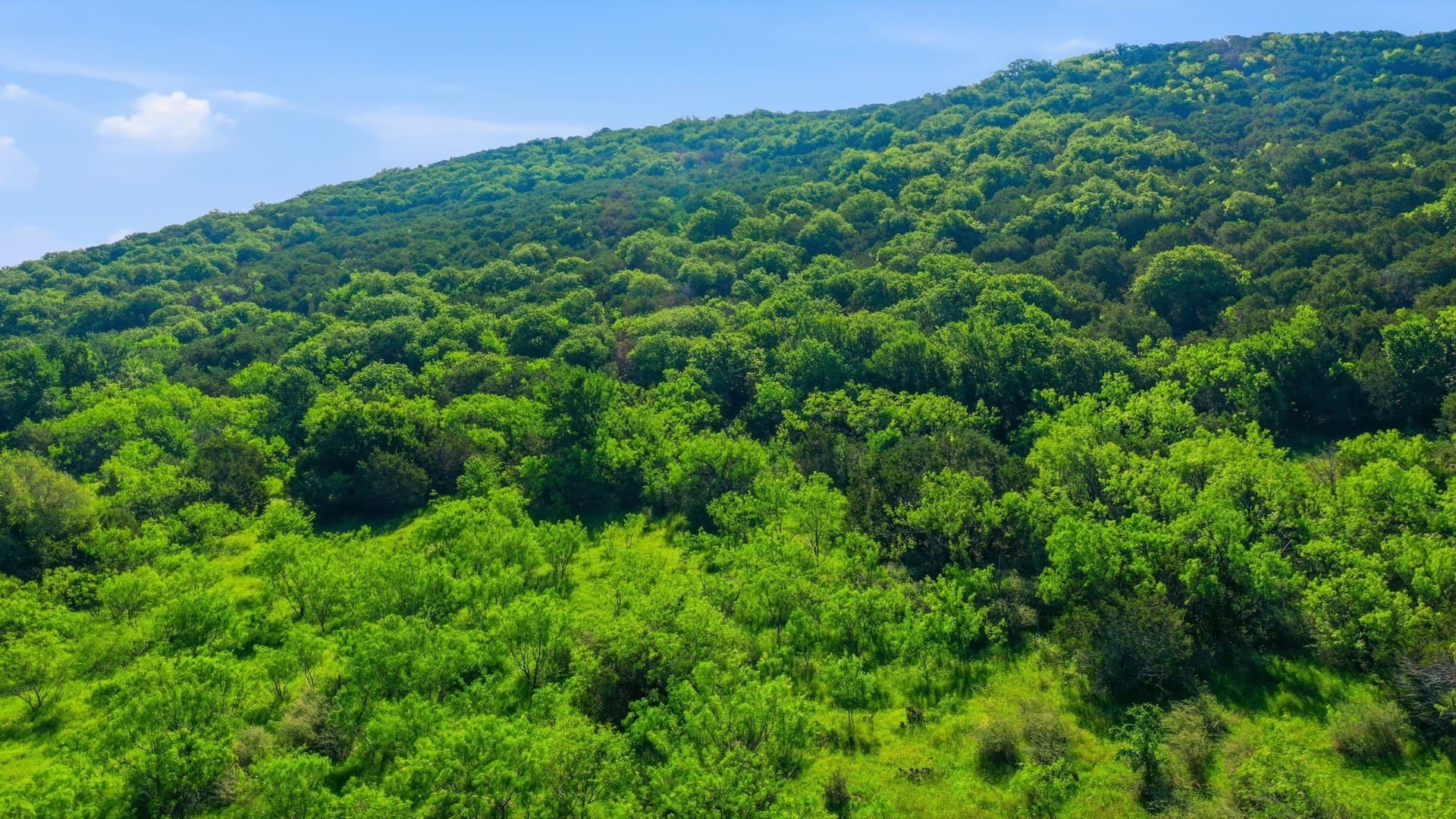 23 acres in Eastland County - photo 10