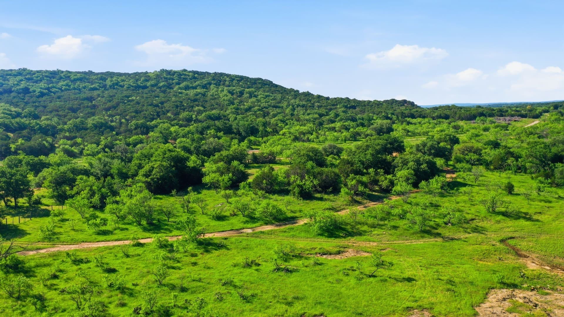 23 acres in Eastland County