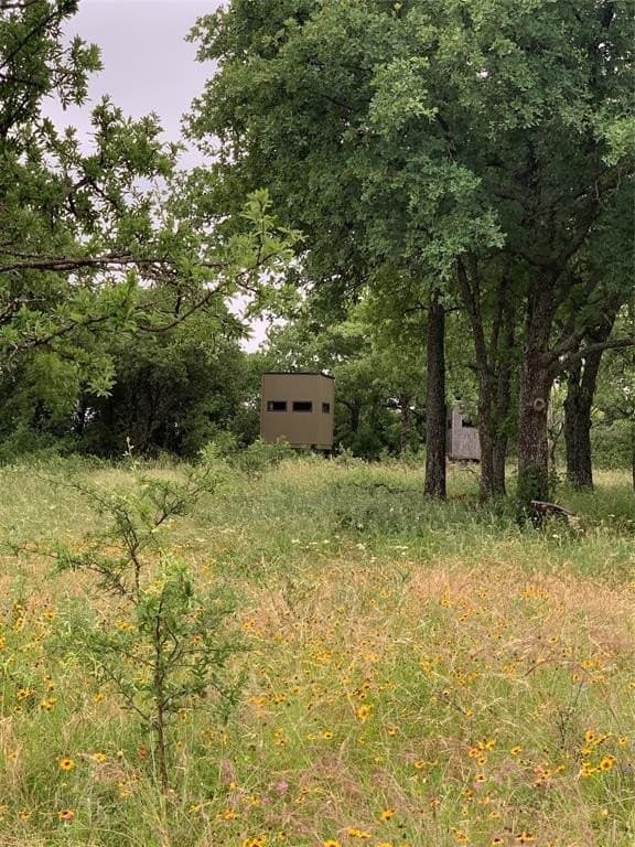 161.56 acres in Young County featured view