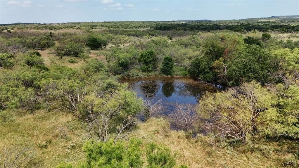 161.56 acres in Young County gallery image 4