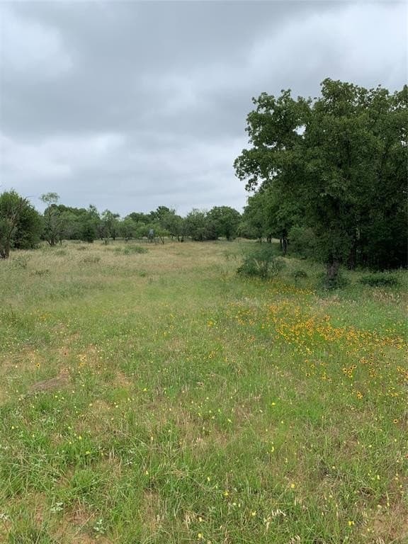 161.56 acres in Young County gallery image 2