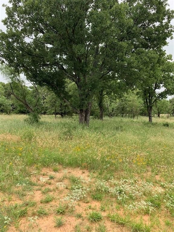 161.56 acres in Young County gallery image 3