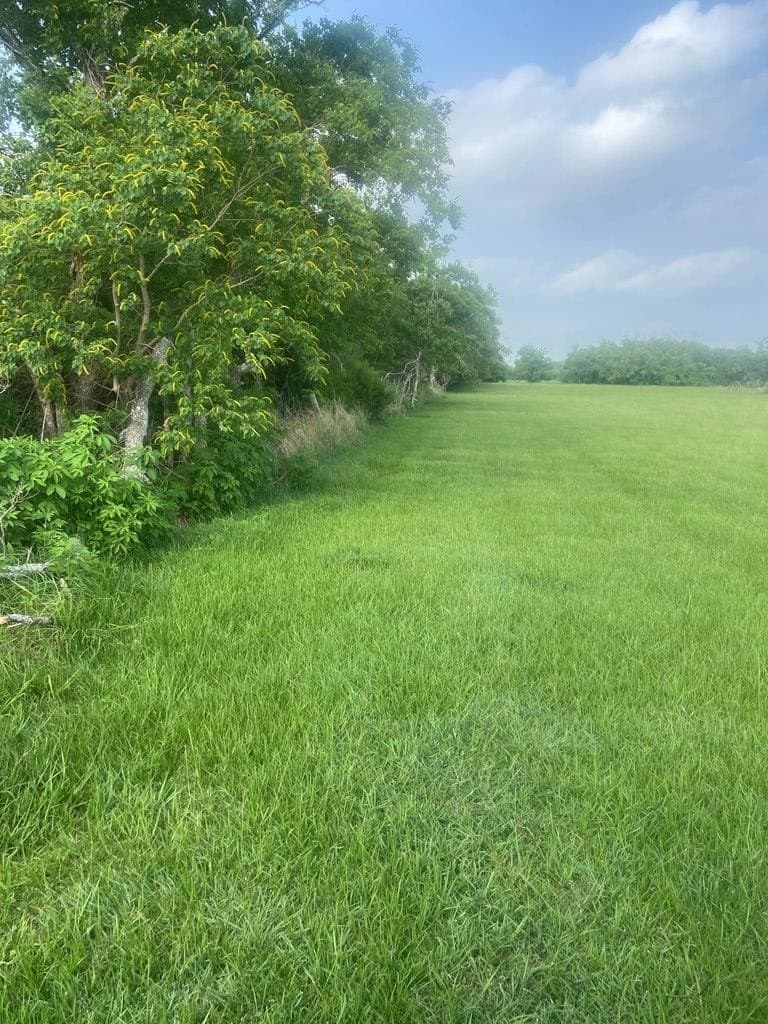 20 acres in Texas County featured view