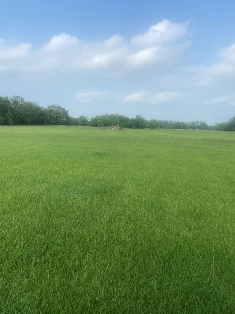 20 acres in Texas County gallery image 4