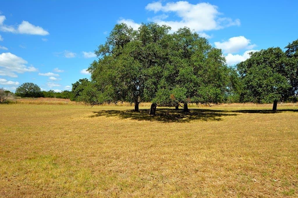 1.5 acres in Kerr County gallery image 3