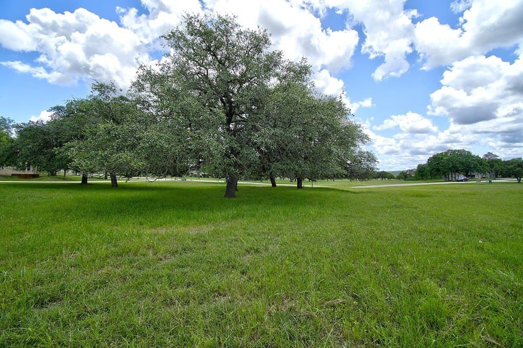 1.5 acres in Kerr County - photo 11