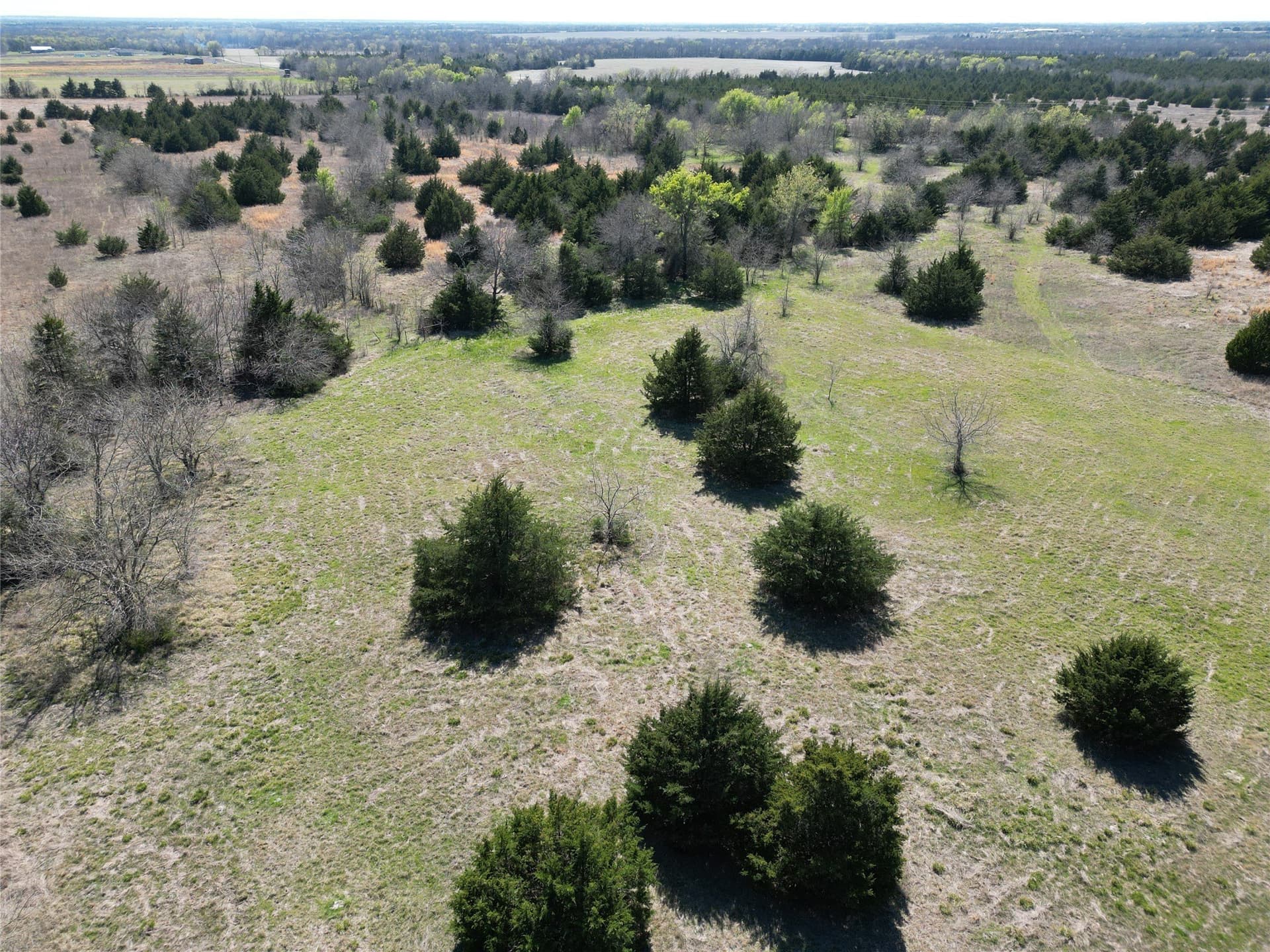 57.5 acres in Fannin County - photo 10
